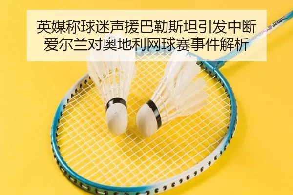 英媒称球迷声援巴勒斯坦引发中断 爱尔兰对奥地利网球赛事件解析